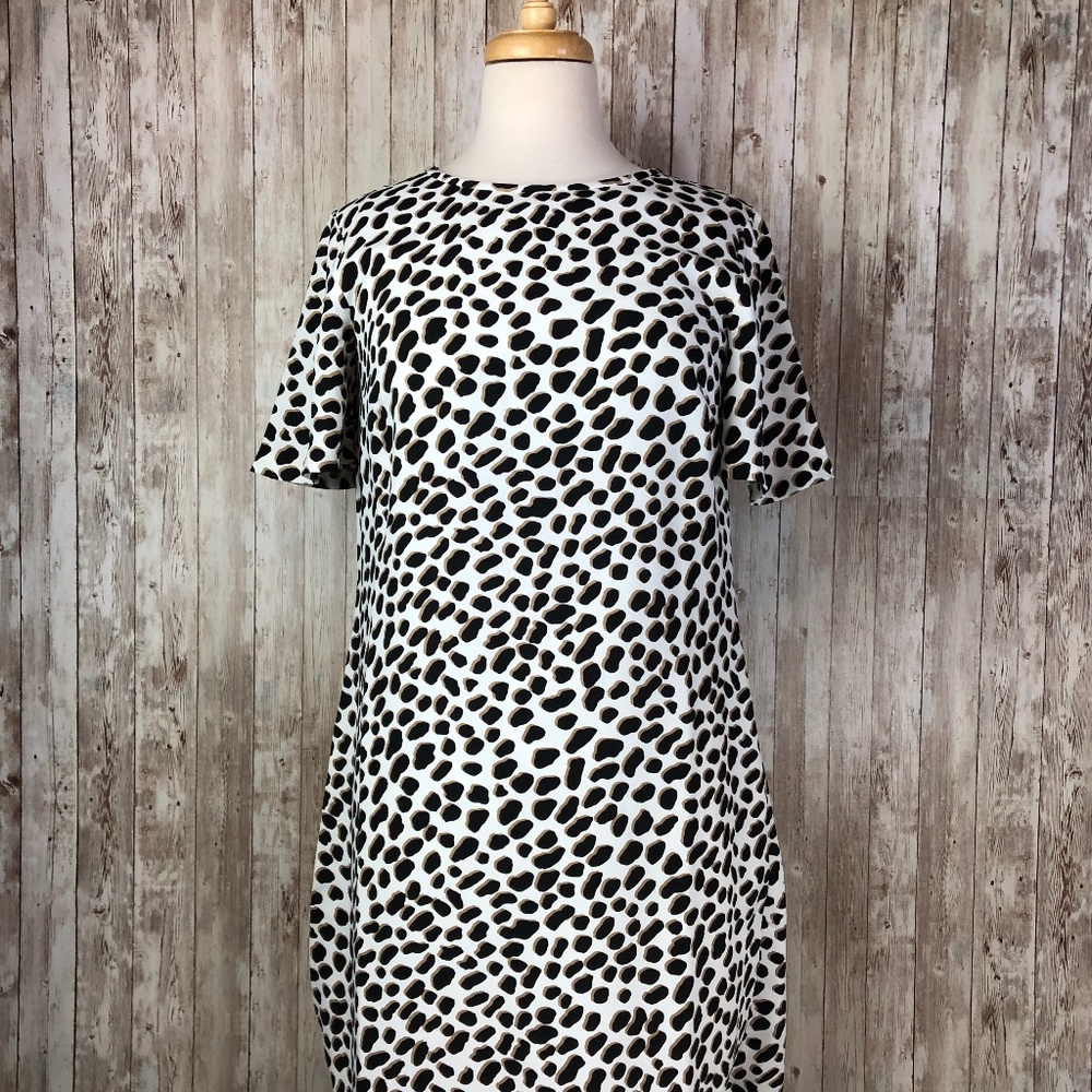 Ann Taylor White Black Tan Spot Shift Dress